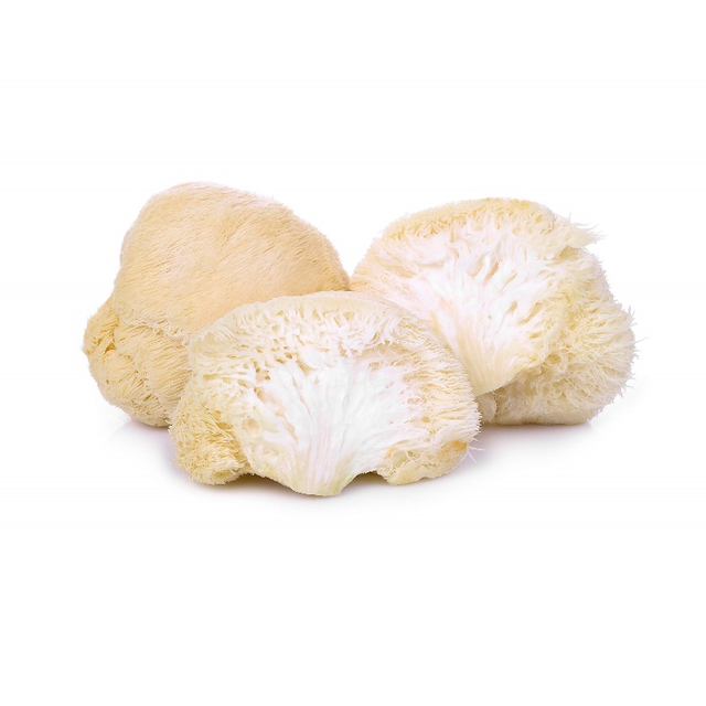 เห็ดแผงคอสิงโต โพลีแซ็กคาไรด์