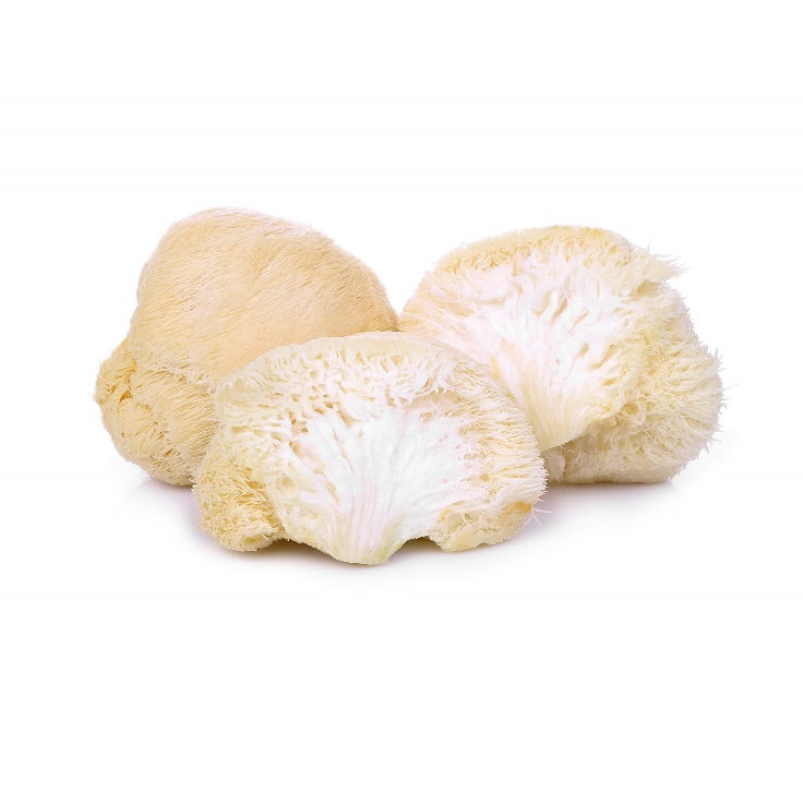 Polisaccaridi dei funghi della criniera del leone