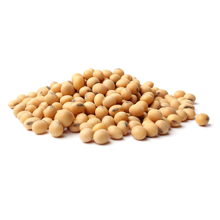 ถั่วเหลือง Daidzein