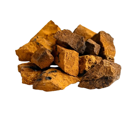 Polisaccaridi dei funghi Chaga