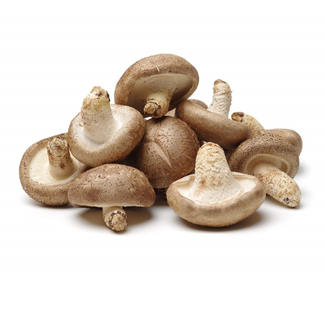 Ekstrak Bubuk Shiitake
