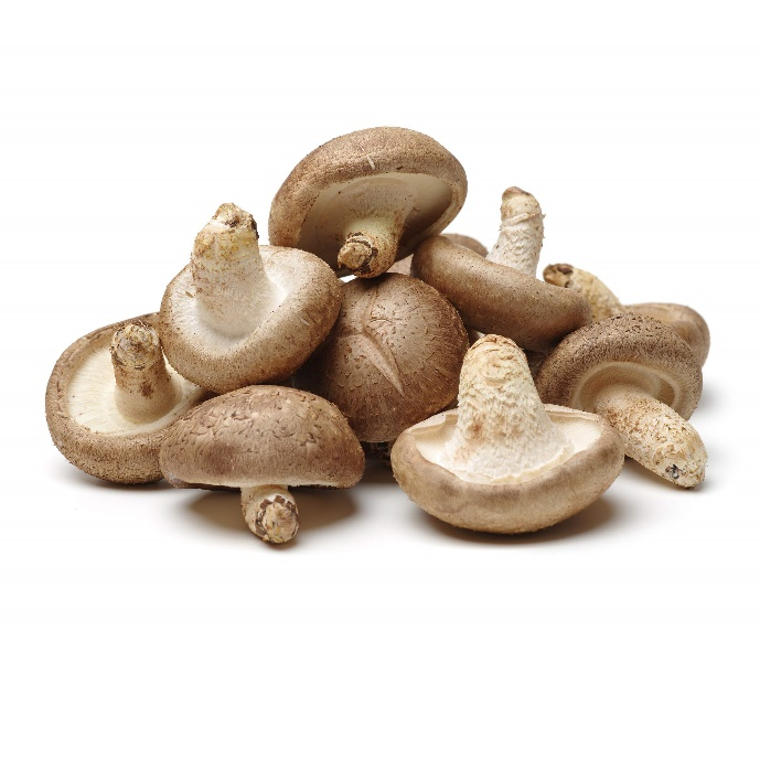 Chiết xuất bột Shiitake