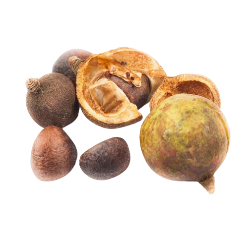 チャ種子エキス