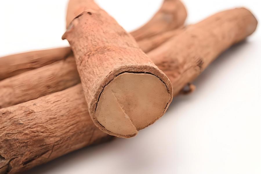 สารสกัด Tongkat Ali จำนวนมากระดับพรีเมียม: คู่มือสำหรับผู้ผลิตโภชนเภสัช