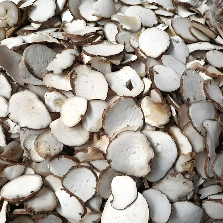 パリポリフィラエキス