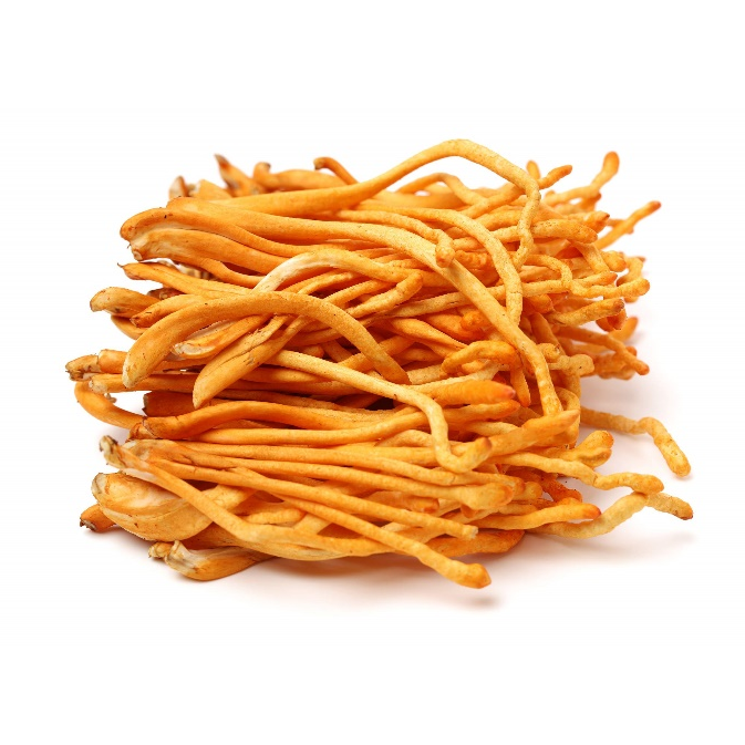 Cordyceps Militaris-Extrakt