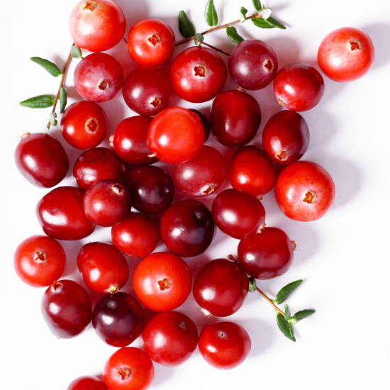 Chiết xuất nam việt quất