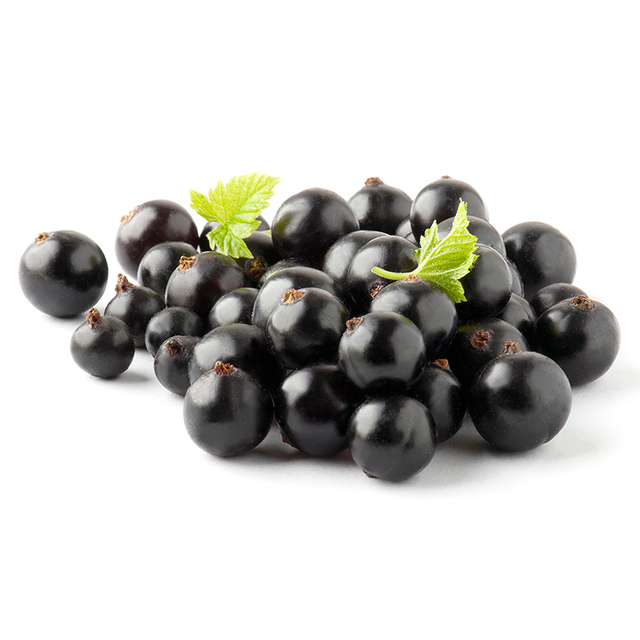 Ekstrak Kismis Hitam